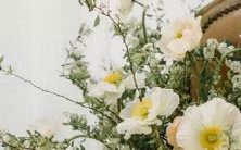 分手后仍沉溺于前任的回忆,无法释怀的星座排行榜