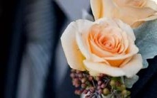 哪些星座对于流行的“鸡汤”最为不屑一顾?——一探十二星座的态度