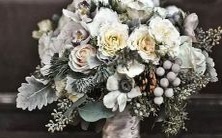 属蛇和属牛的人群中,哪个星座能获得排名第一的荣誉称号?