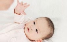 令人陶醉的自然气息,探索森林风格的美妙艺术:最受欢迎的森系命名灵感