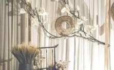 自己?星座女中哪些人会为了成为好妈妈而主动改变自己的行为和生活方式?