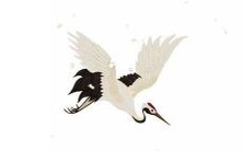 受国际影响,2022年女孩起名字的趋势和考虑因素越来越多样化和个性化