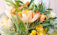 探寻星座奥秘:这些星座无与伦比地将懵逼和人精完美结合体呈现给我们!