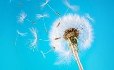 梦见我的家公,也就是我的外公,某夜出现在我脑海中的幻象中