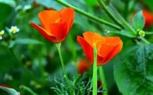 做梦梦见学生在课堂上认真听讲,是否暗示你对知识渴望迫切且有教育觉醒需求?