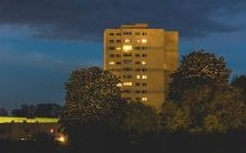 做梦梦见参与祭祀仪式用牛献祭的象征意义及解释是什么?