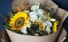 哪个星座的个性与狼相似?探究十二星座与狼的联系