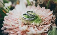 巨蟹座是哪种分类学上的星座?