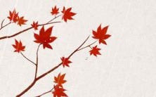 如何为你的贸易公司取一个好听的名字?