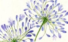 女孩都可以的完整指南:根据传统文化,2022年的虎年起名字应该搭配哪些字眼,无论男孩还是女孩都适用