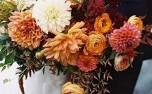 哪些星座容易赢得射手座的心?