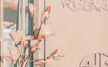 与处女座王子的浪漫爱情故事:跨越宿命的距离,如何化解星座性格冲突并达到真爱境界?