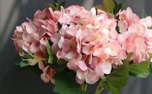 每天解析女性生日性格,帮助你更好地了解她们!