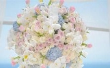 如何在直男癌与凤凰男中做出选择:十二星座女性的决策技巧