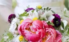 探索双鱼座的暴怒源头:哪些事情会让他们失去忍耐?