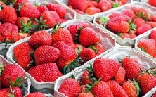 在梦中遇到了幽灵鬼魂向我求助的情境