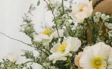 你是否拥有最虚伪狡猾的星座?看看这份指南是否适合你!