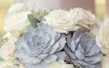 探究不同星座女性的爱情易变与移情别恋现象