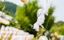 那些只要天气晴朗就会毫不犹豫地出门散步的星座