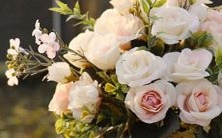 天蝎座的女神,她的性格特质和星座特征如出一辙!