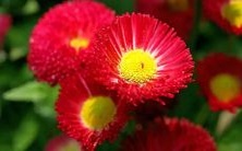 在梦中扔掉物品代表什么?深入解析梦境中的抛弃动作传递的隐含信息