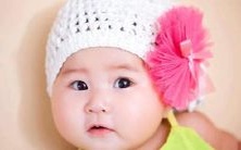 为虎命名是否不妥当,值得探讨吗?