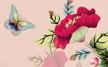 让您拥有个性化社交媒体存在感的超赞微博用户名集合