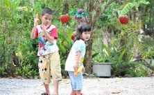 做梦梦见大象喷水预示着什么吉兆或不吉兆?