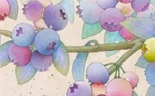 2022年,针对1975年出生的兔女来说,她们未来的运势会如何呢?