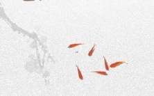 探究阴阳师游戏中美妙的式神名字,让你的游戏体验更加愉悦!