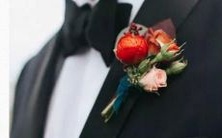 太阳系所处的恒星集团归属于特定的星座群体