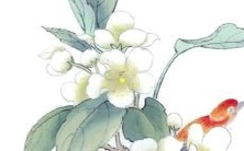 如何选择能够带来财运的位置?2022年属鼠人应该选择位于东南正南的方位,以期获得更多的发财机会