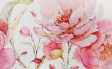 2022年新生儿女孩取名指南:包罗万象的全面命名解析及灵感搜集!