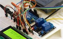 我做梦梦见狗咬了一个人,随后我们不得不打那只狗的故事