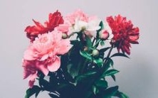 独具个性的十二星座:哪些事情能让TA们“不求回报”?