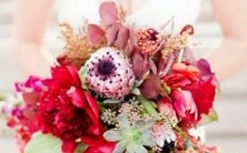 哪些星座情愿无私助人并乐在其中?