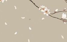 星座大揭秘:比较适合有弟弟妹妹的星座特点,拥有温柔耐心和亲和力的有哪些?