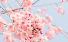 水瓶座和巨蟹座的闺蜜合适程度究竟如何?探讨二者配对关系的完整分析