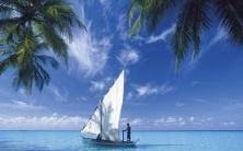 推荐:探究天蝎座是不是真的很记仇,以及他们是否会刻意对待自己喜欢的人冷落不理的表现