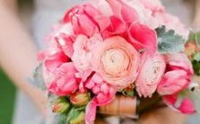 在星座世界中,哪些星座表现出抖s的特质?