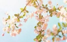 2022年起田姓婴儿免费享受高质量个性化起名服务!