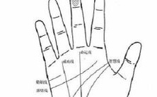 掌纹混乱的男人命运如何?掌纹杂乱的男人是否值得信任?