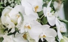 的表现,如何面对他们的情绪和行为变化?