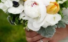 排名,它们在挑战自我方面排名最高的星座是什么?