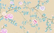 经过成长的十二星座拥有哪些真实实力?