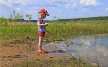 在梦中遇见乌龟壳的象征意义及其可能的解释