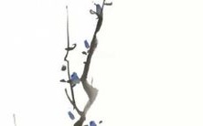 遭遇2021年辛丑流年大运的癸酉日柱可能面临漏财风险