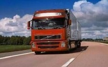 周公解梦:梦见多彩羽毛的鸟儿,到底象征着什么?