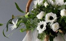 哪些星座最适合居住在六楼呢?