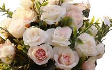 探究12星座性格与命运:用短小的词语描述星座特点及命运面貌